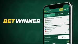 Get the Betwinner App Your Gateway to Online Betting -567233967