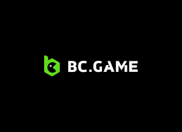 BC App Review Transforming Your Financial Experience